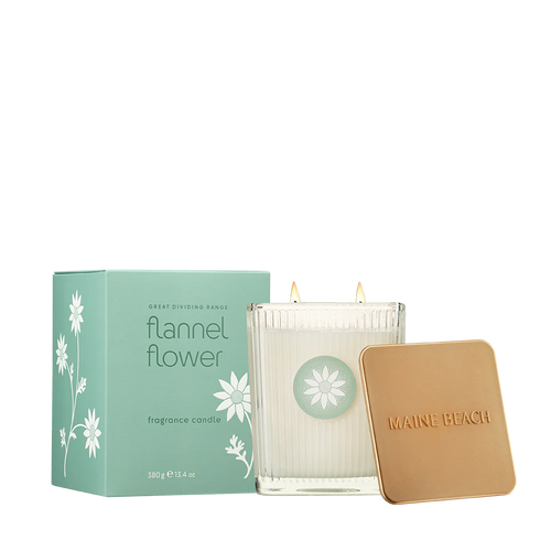 Flannel flower candle