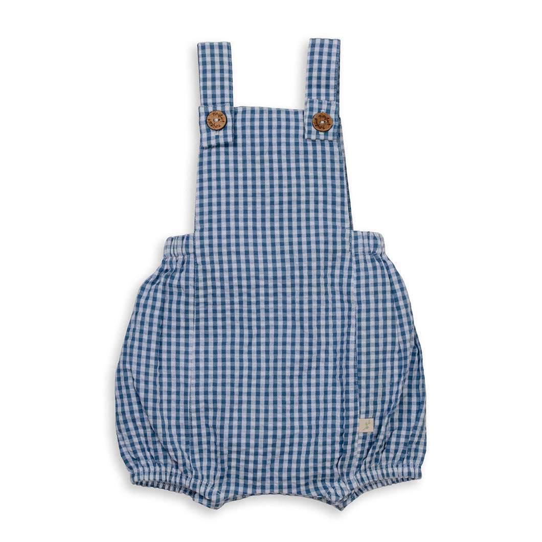 Blue gingham overalls