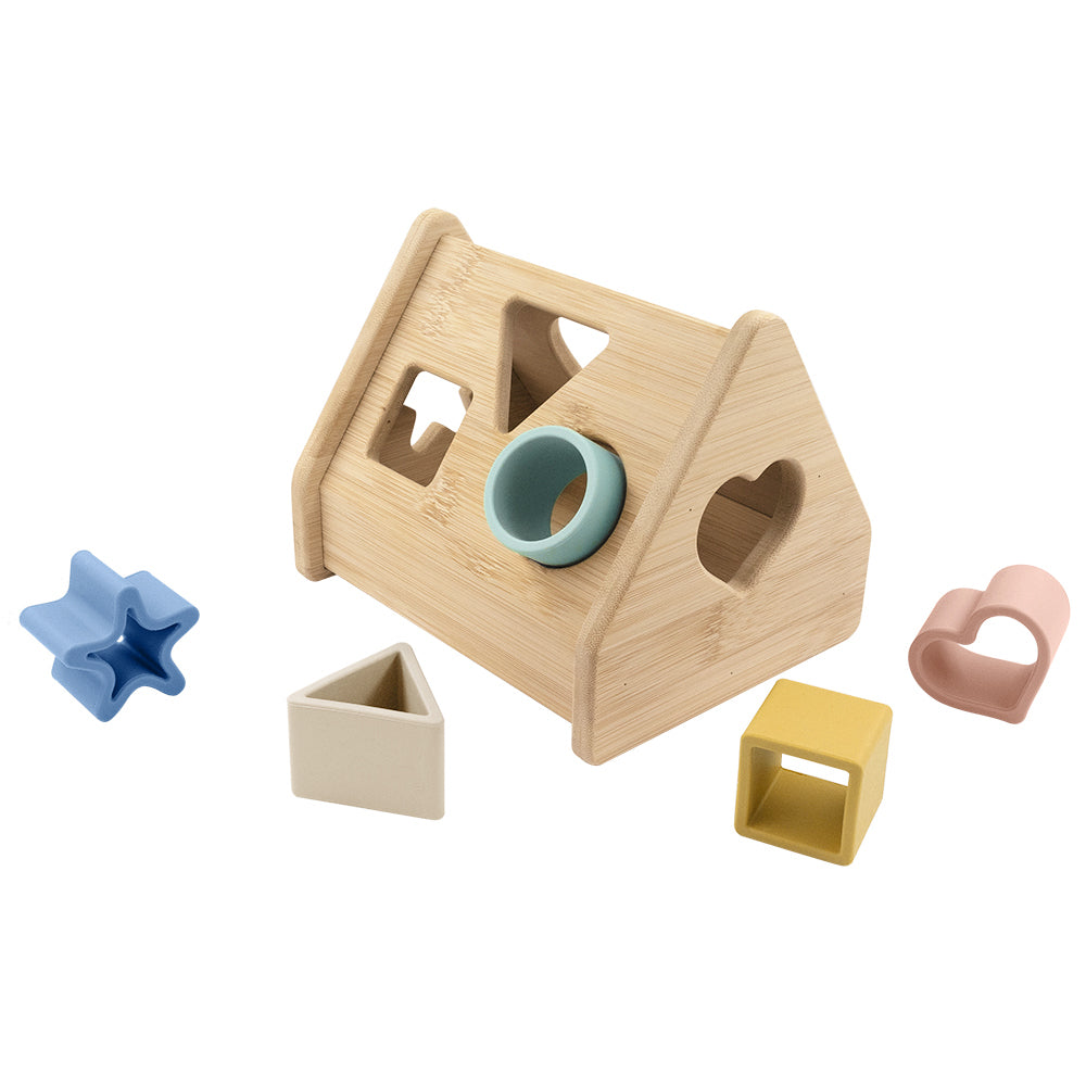 House shape sorter